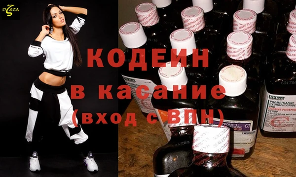 индика Алзамай