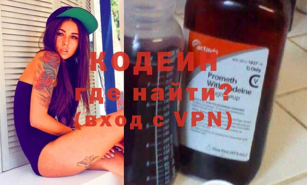 индика Алзамай